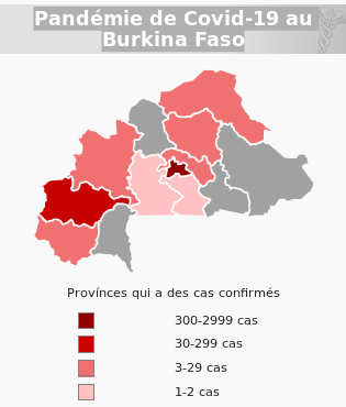 Pandémie de Covid-19 au Burkina Faso 20 juillet
