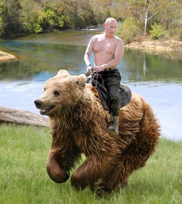 Putin cavalca orso